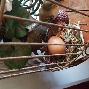 Small handmade birdnest